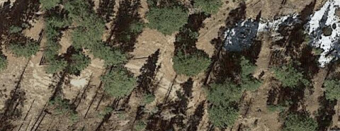 Mission springs online pct trail camp