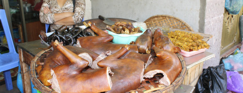 Chinese food new arrivals dog meat
